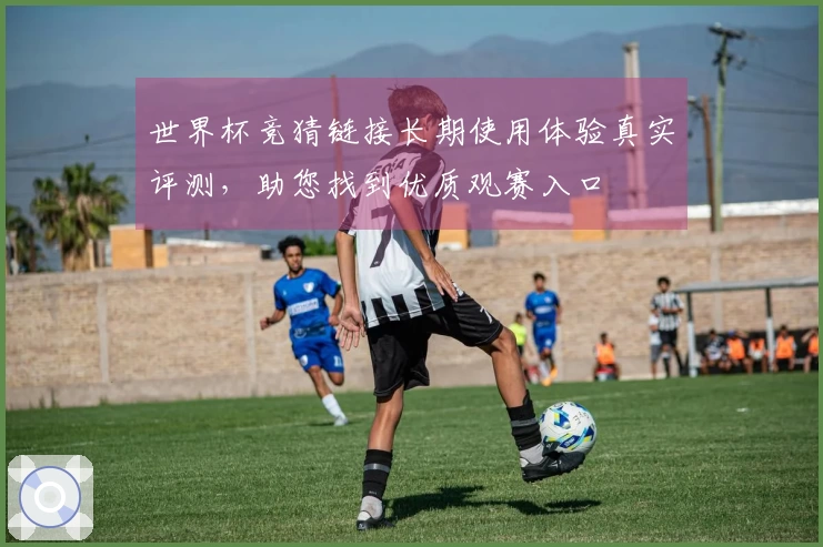 世界杯竞猜链接长期使用体验真实评测，助您找到优质观赛入口