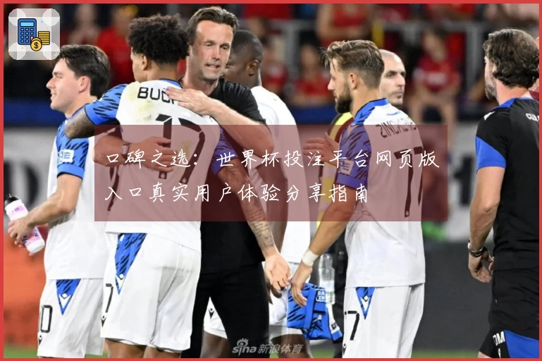口碑之选：世界杯投注平台网页版入口真实用户体验分享指南