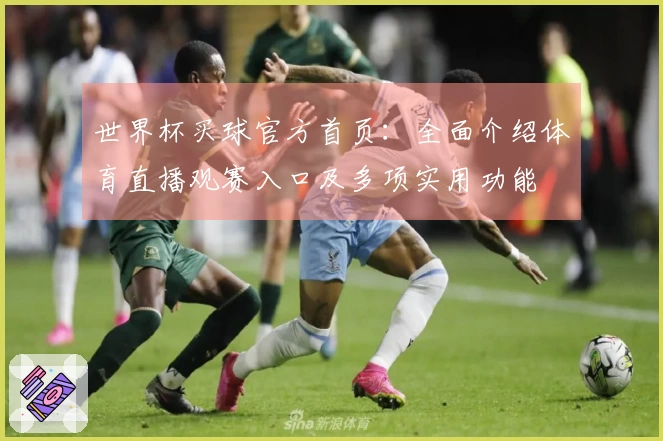 世界杯买球官方首页：全面介绍体育直播观赛入口及多项实用功能