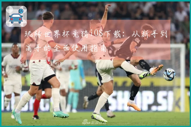 玩转世界杯竞猜iOS下载：从新手到高手的全面使用指南