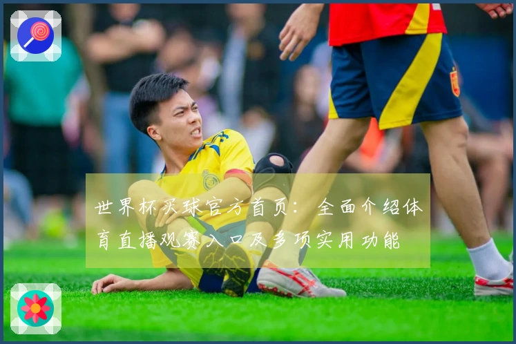 世界杯买球官方首页：全面介绍体育直播观赛入口及多项实用功能