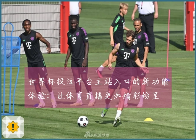 世界杯投注平台主站入口的新功能体验：让体育直播更加精彩纷呈