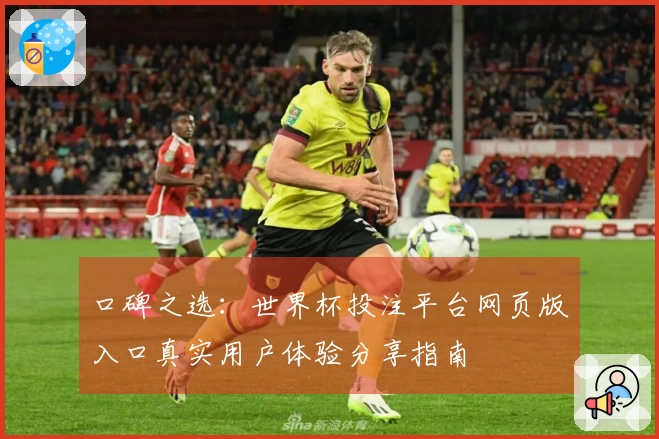 口碑之选：世界杯投注平台网页版入口真实用户体验分享指南